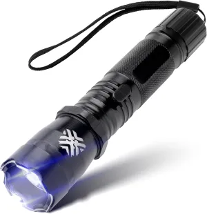 2-in-1 Stun Gun Flashlight | Rechargeable Stun Gun for self Defense Men Women | Shockwave Mini Tactical Stungun | Palm-Sized | 150-Lumen, 9,000 Volts to Deter Attackers | Free Holster
