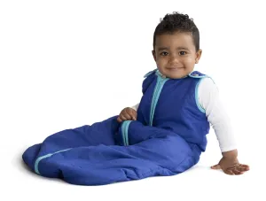 Baby Deedee Sleep Nest Sleeping Sack, Warm Baby Sleeping Bag fits Newborns and Infants,Small (0-6 Months)