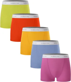 BAMBOO COOL Womens Bamboo Boxer Briefs Underwear Soft Stretch Boy Shorts Panties for Women