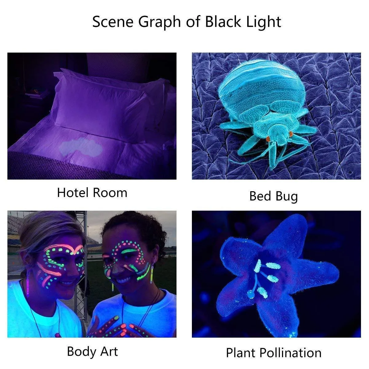Mini LED UV Flashlight 395nm