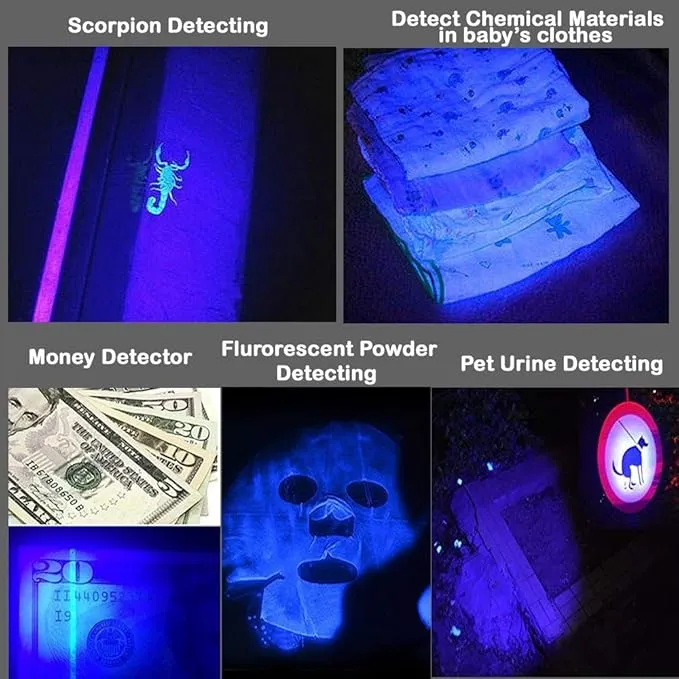(Pack of 5 Multicolored Single Mode Flashlight: Red Light Flashlight, Blue Light Flashlight, Green Light Flashlight, 395 UV Light Flashlight, White LED Light Flashlight